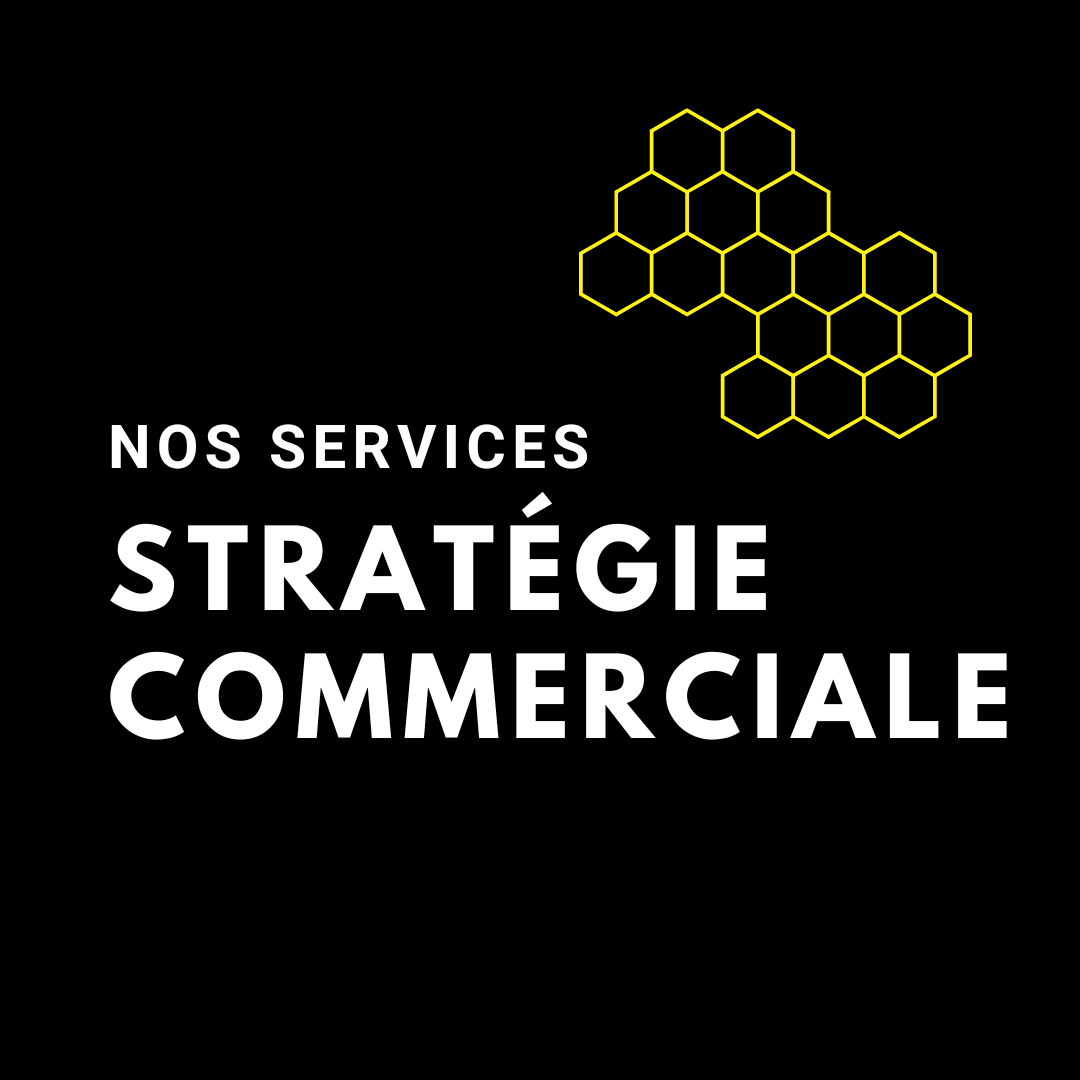 Stratégie commerciale